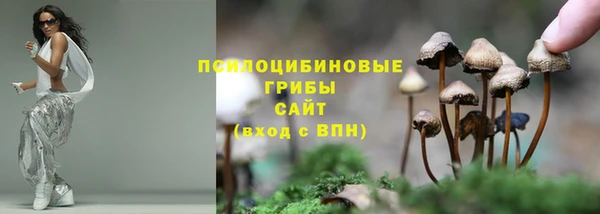 тгк Нязепетровск