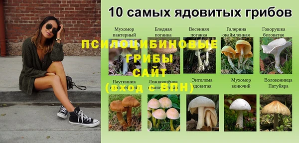 спайс Белокуриха