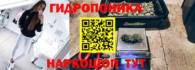 apvp Гусев