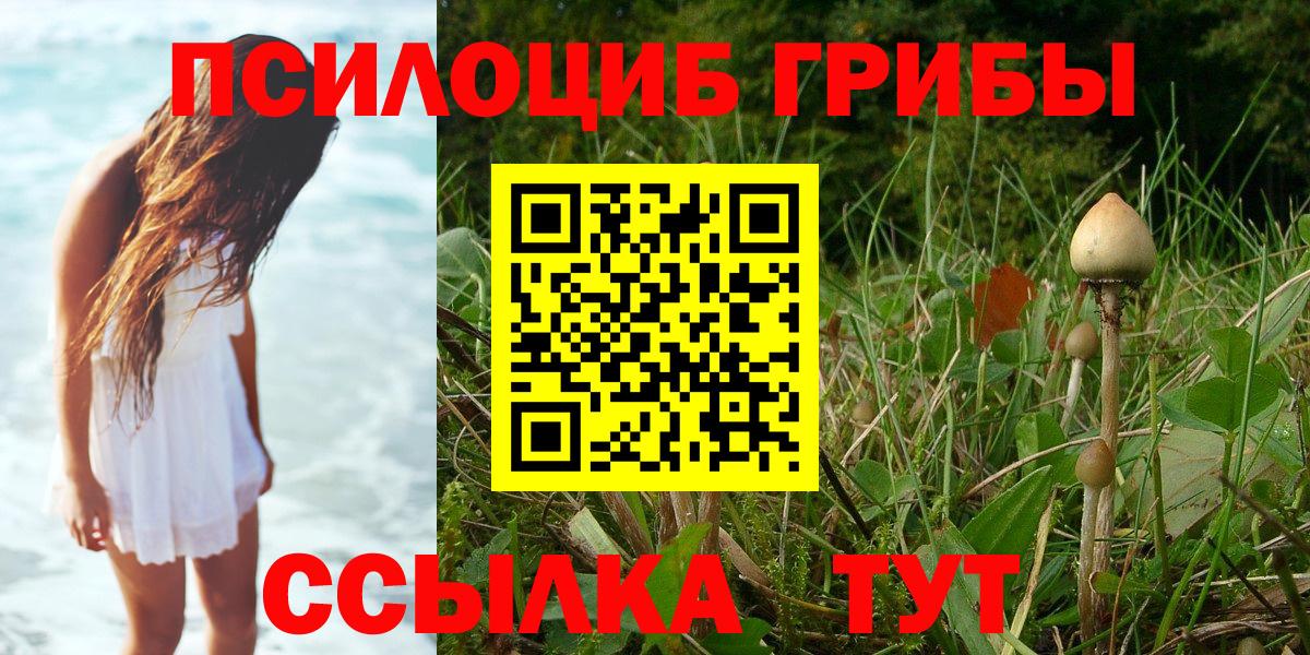 Псилоцибиновые грибы GOLDEN TEACHER Златоуст